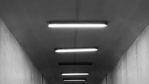 fluorescent-lights-2-300x171