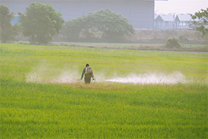 How Can I Reduce My Risk of Being Exposed to Paraquat?